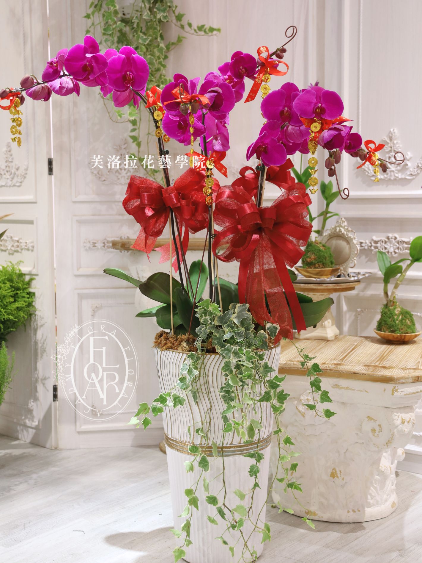 桃色蘭花高盆+常春藤 (1)Orchid_TallPottedPlant_Peach_Ivy