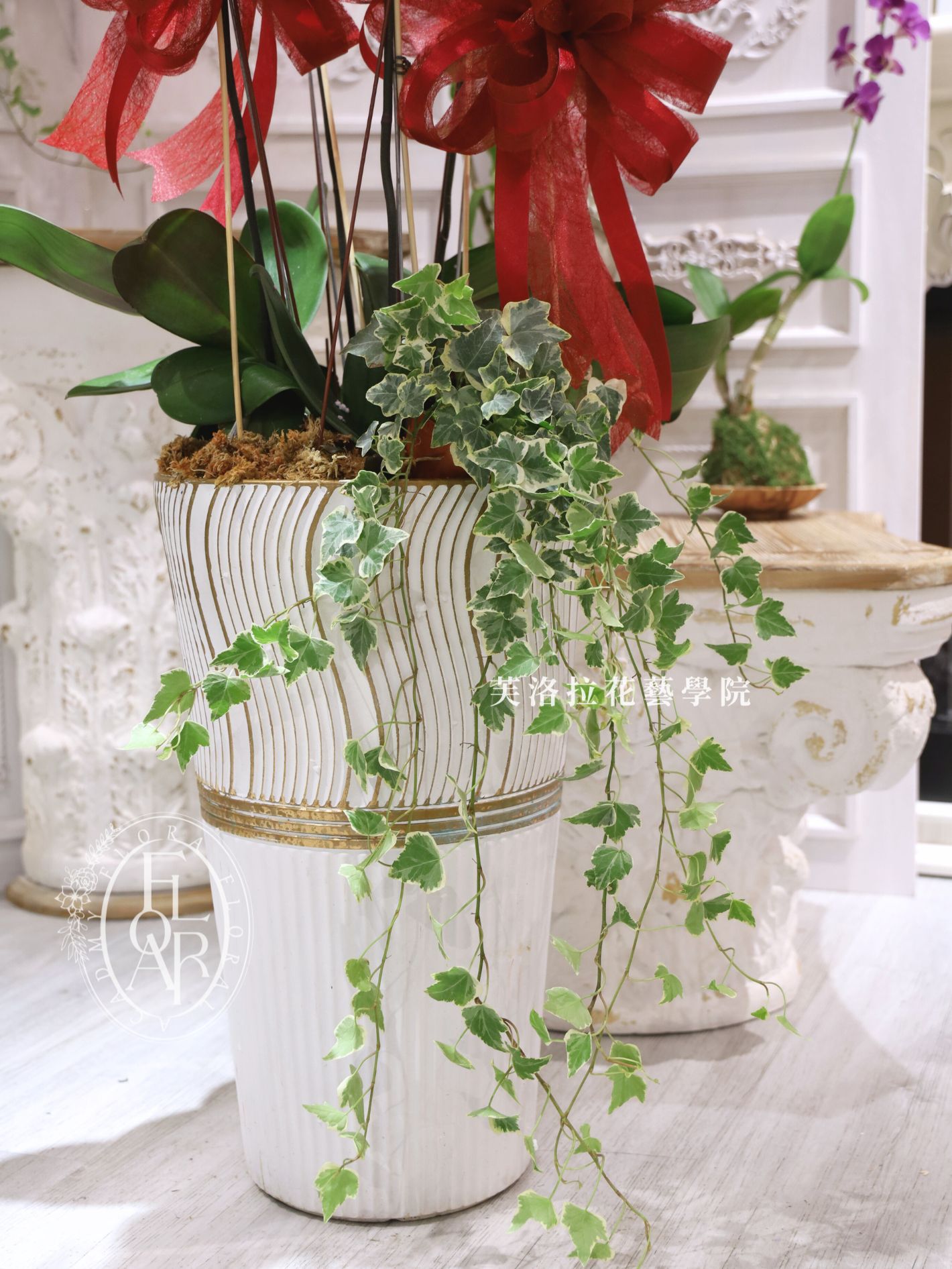 桃色蘭花高盆+常春藤 (2)Orchid_TallPottedPlant_Peach_Ivy