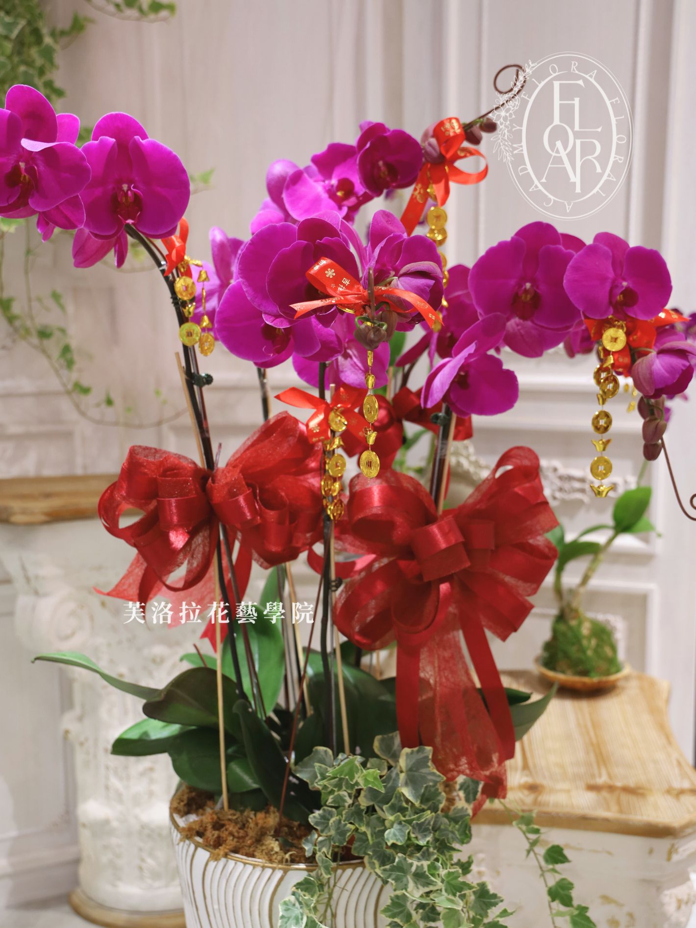 桃色蘭花高盆+常春藤 (4)Orchid_TallPottedPlant_Peach_Ivy