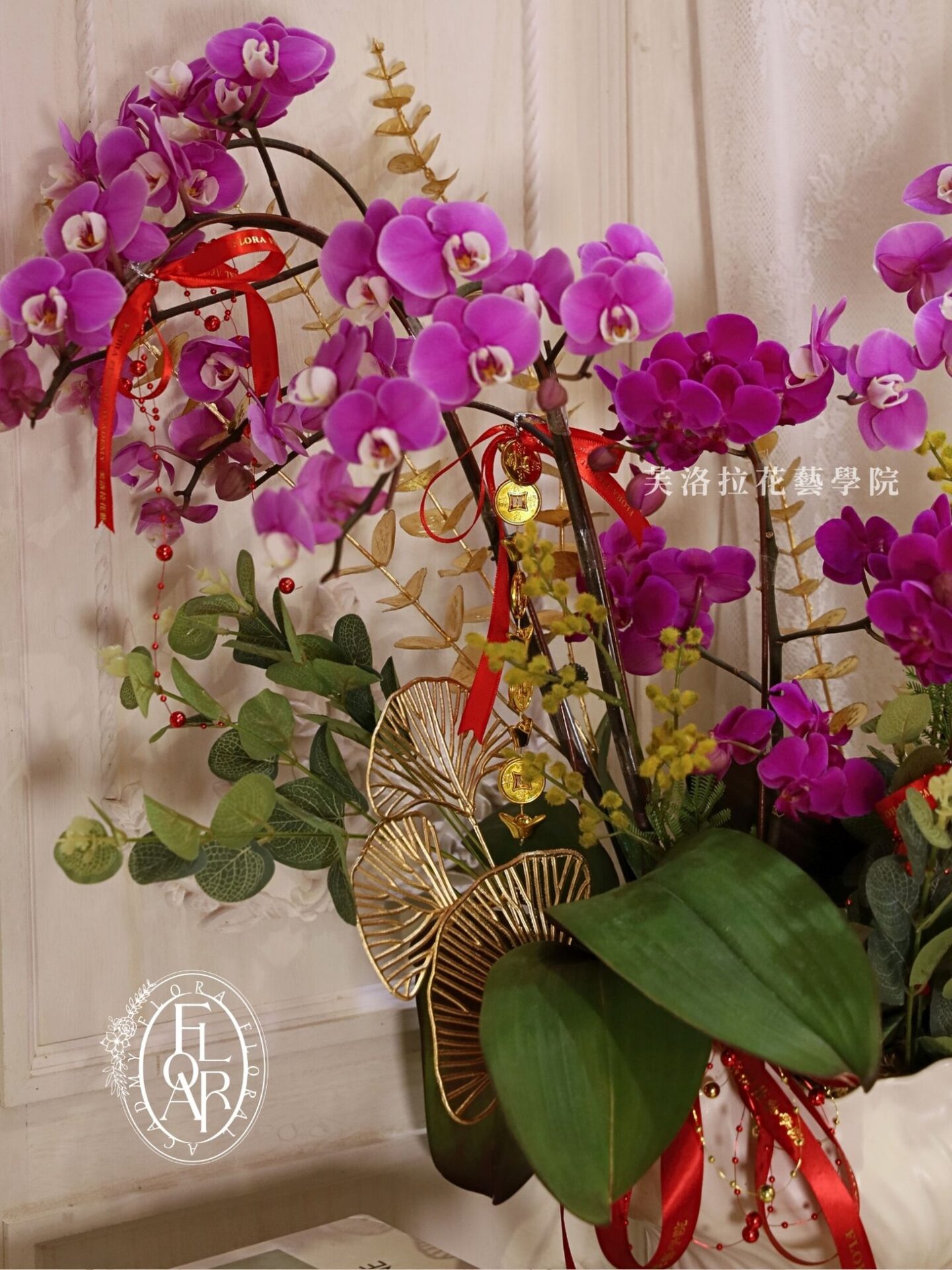 Grand Opening Orchid Potted Arrangement (4)