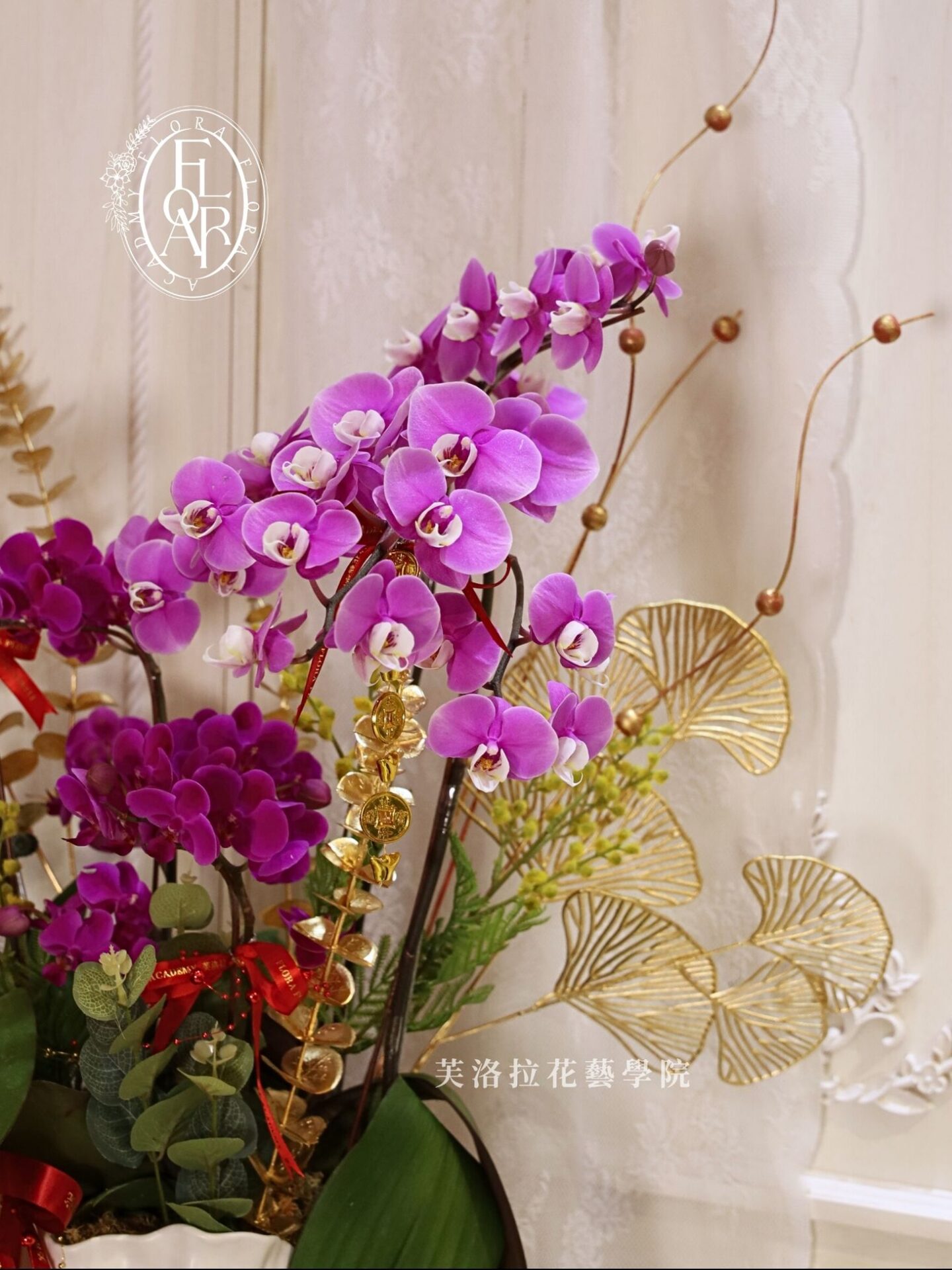 Grand Opening Orchid Potted Arrangement