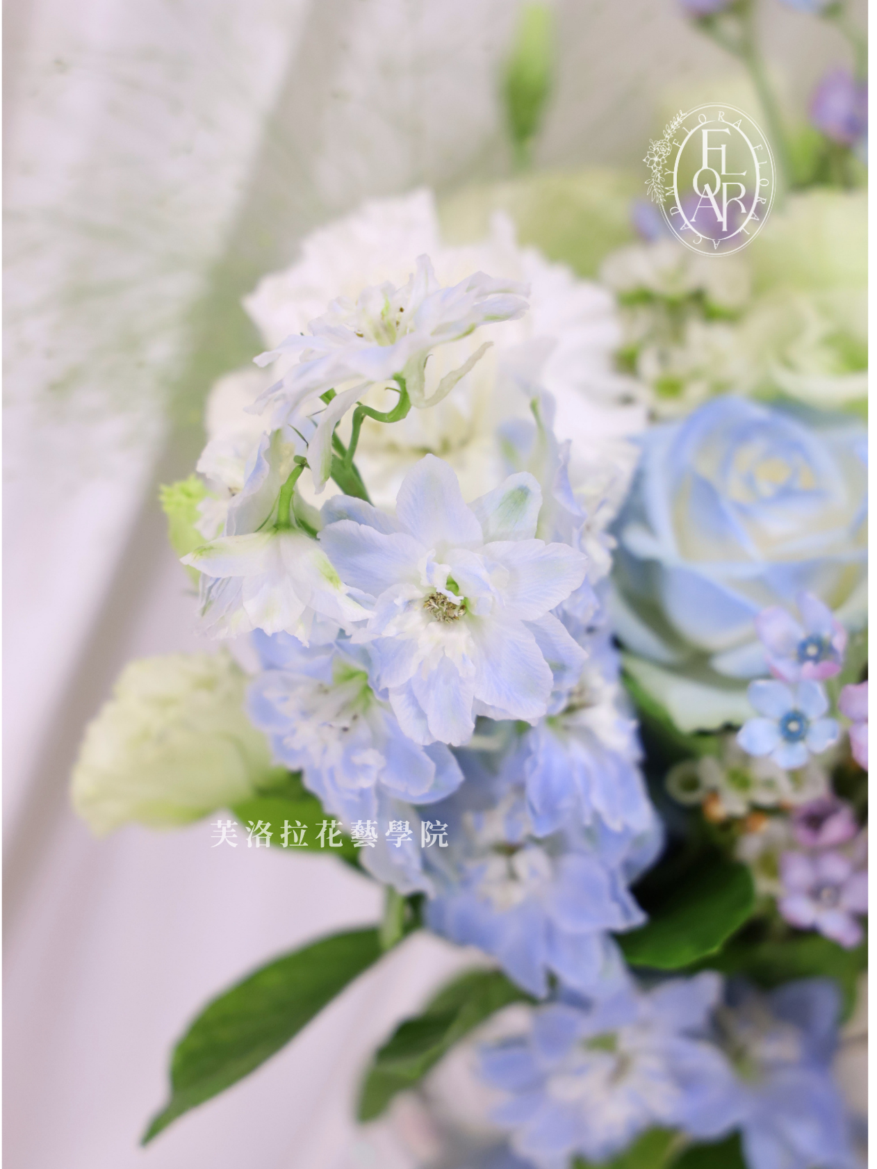 鮮花捧花|《Voile du Matin》|雙色玫瑰|客製花禮:圖片 3